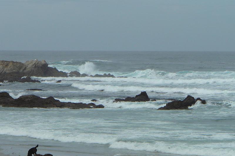 Carmel 10-30-08 244.jpg